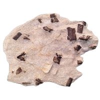Estaurolita Placa (Francia)