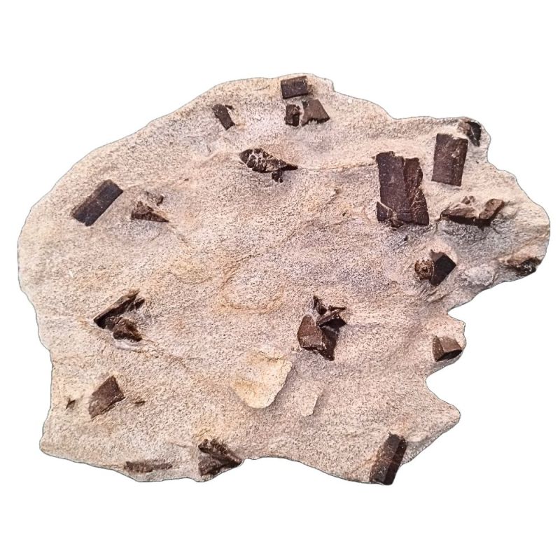 Estaurolita Placa (Francia)