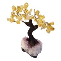 Árbol Citrino (12cm) y base de drusa Amatista.