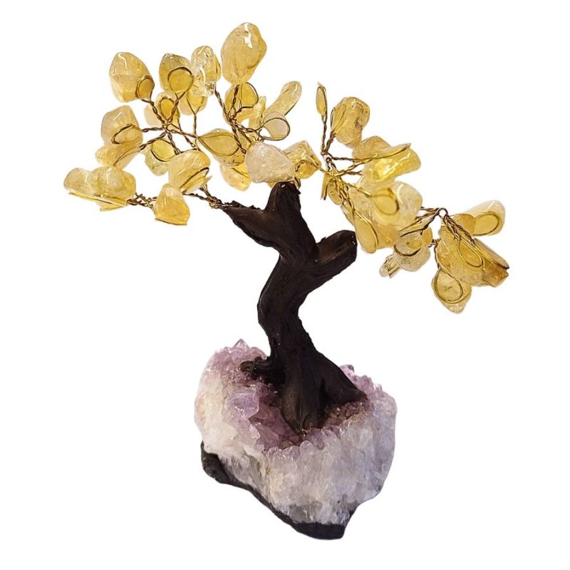 Citrine Stone Tree (12cm) and Amethyst druse base.