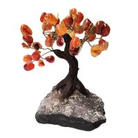 Árbol Ágata Carneola (12cm) y base de drusa Amatista.