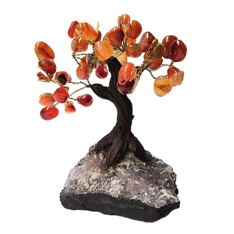Arbre Agate Cornaline (12cm) et socle druse Améthyste.