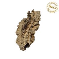 Piedra Rayo (Fulgurita-Lechatelierita)