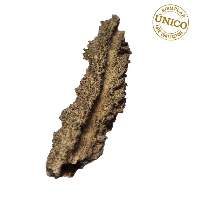 Piedra Rayo (Fulgurita-Lechatelierita)