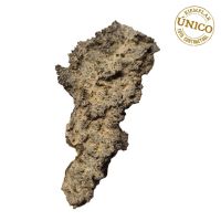 Piedra Rayo (Fulgurita-Lechatelierita)