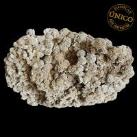 Rosa de Selenita (16,9kg)