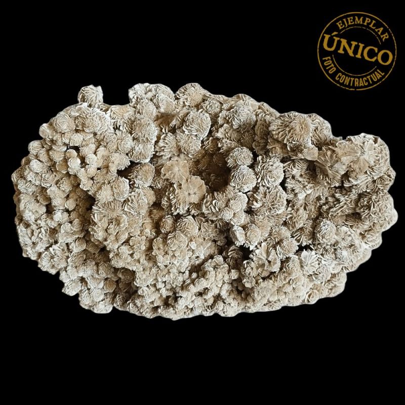 Rosa de Selenita (16,9kg)