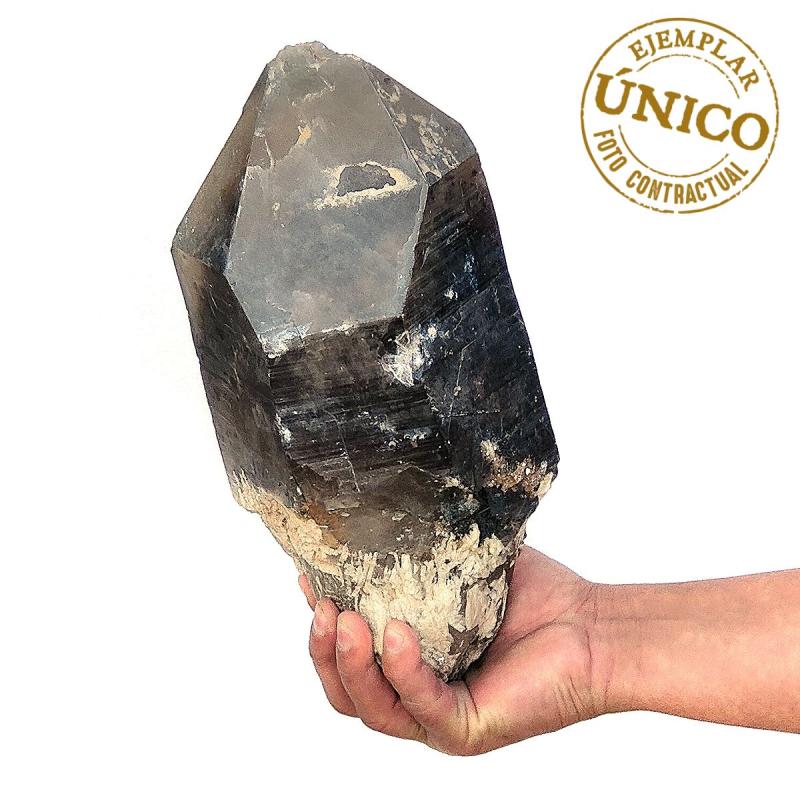 Punta Cuarzo Ahumado (Mozambique). 6kg