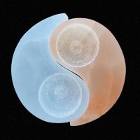 Portavelas Selenita Ying Yang