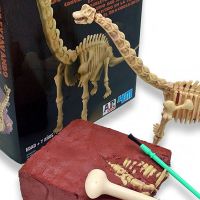Excavadinos Brachiosaurus "Paleontologia"