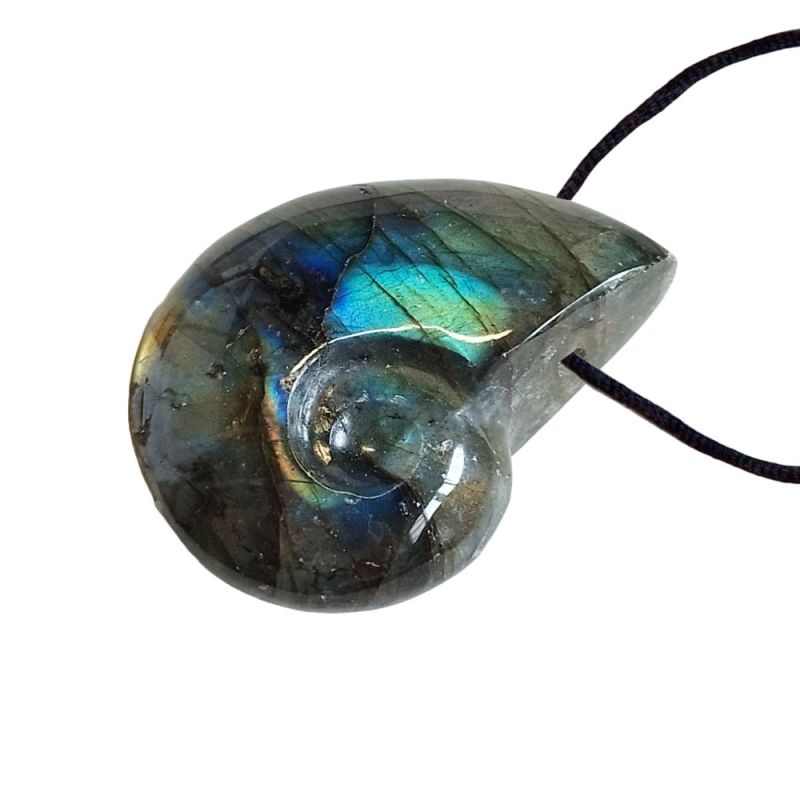 Colgante Ammonite Labradorita pulido