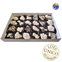 Manganocalcita (UV). Lote 24 Un.