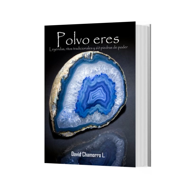 Livre "Polvo Eres"