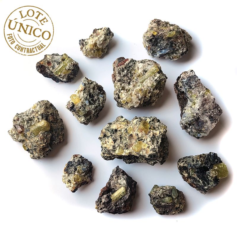 Apatito en matrix (Mapimi, Durango, México). Lote 12un.