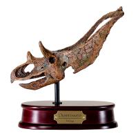 Craneo Chasmosaurus Resina