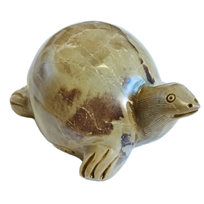 Tortuga de Esteatita
