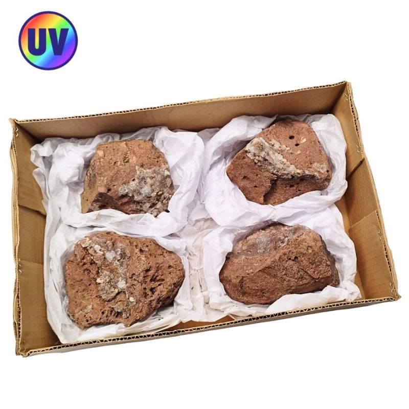 Opal-Hyalite (Mexico). Lot 4 Un.