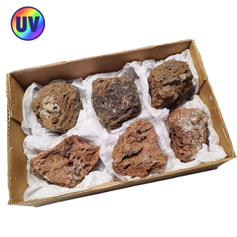 Opale-Hyalite (Mexique). Lot 6 Un.