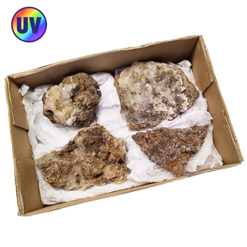 Opal-Hyalite (Mexico). Lot 4 Un.