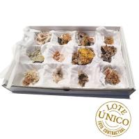 Wulfenite (Mibladen, Morocco). 12 units box.
