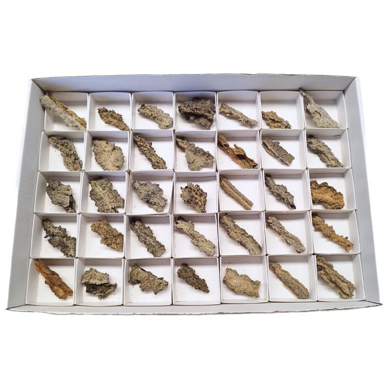 Lightning Stone (Fulgurite-Lechatelierite). Lot 35 Un.
