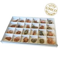 Cobre Nativo (USA). Lote 24 Un.