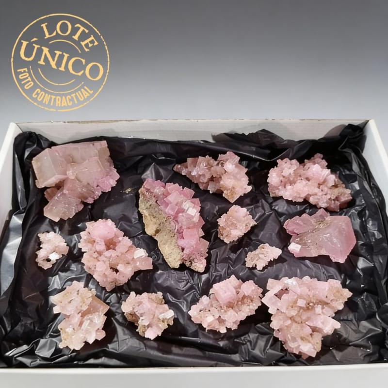 Halite (Sel Gemme) rouge. Boîte 13 Un.