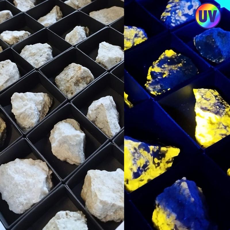 Wernerita (Canadá). Lote 35 Un.