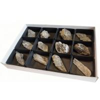 Gypsum (Teruel, Spain). Set 12 Un.