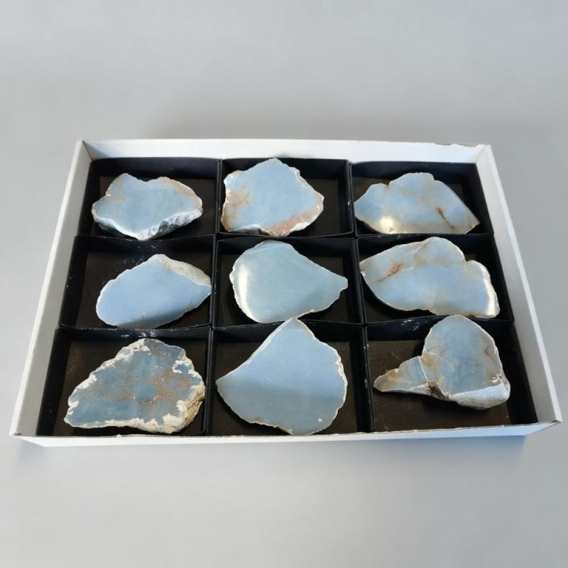 Angelita Pulida (Perú). Lote 9 Un.