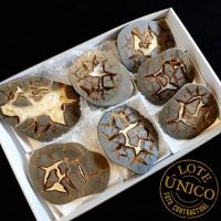 Septaria polie. Lot 7 Un.