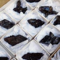 Yeso Negro (La Rioja, España). Lote 12 Un.