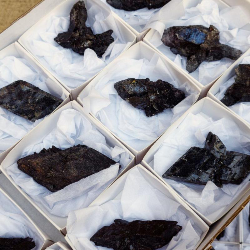 Yeso Negro (La Rioja, España). Lote 12 Un.