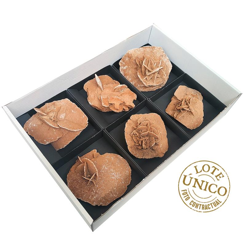 Lote Rosa del Desierto (Argelia). Lote 6 Un.