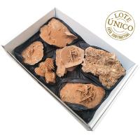 Lote Rosa del Desierto (Argelia). Lote 6 Un.