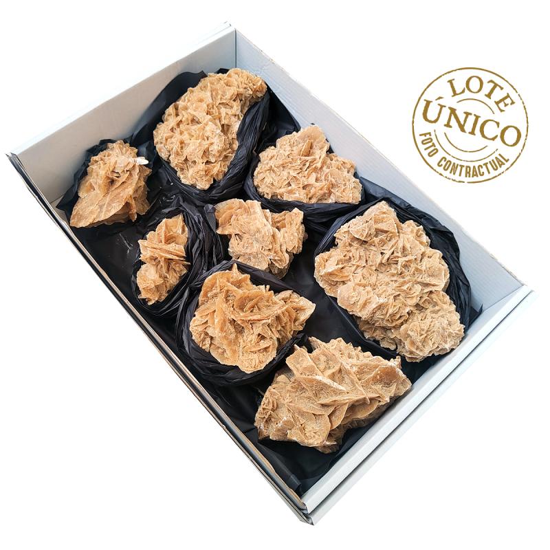 Lote Rosa del Desierto (Túnez). Lote 8 Un.