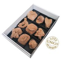 Lote Rosa del Desierto (Argelia). Lote 9 Un.