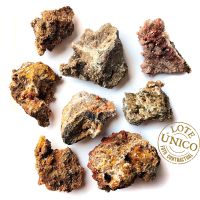 Vanadinita (Mibladen, Marruecos). Lote 8un.