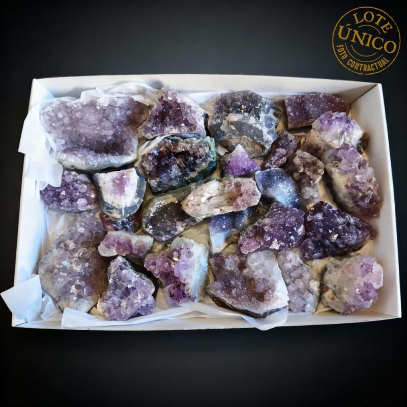 Lote Drusas Amatista (Brasil)