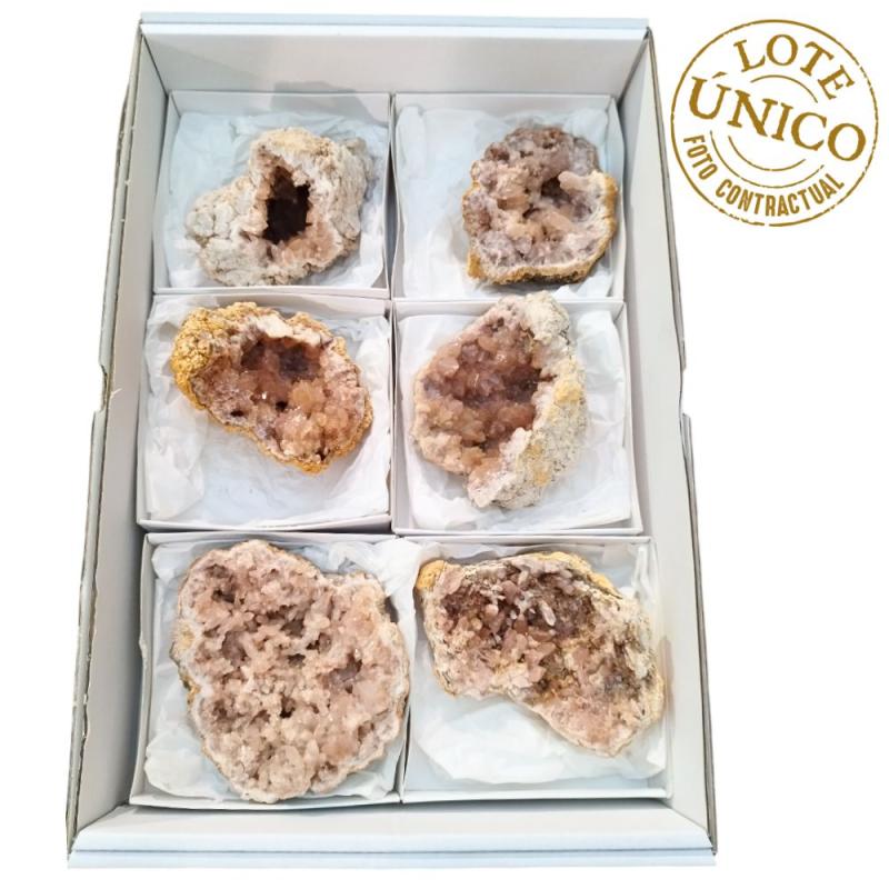 Améthyste Rose (Argentine). Lot 6 Un.