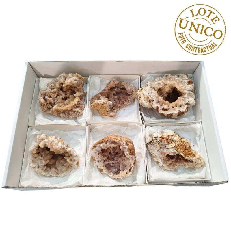 Améthyste Rose (Argentine). Lot 6 Un.