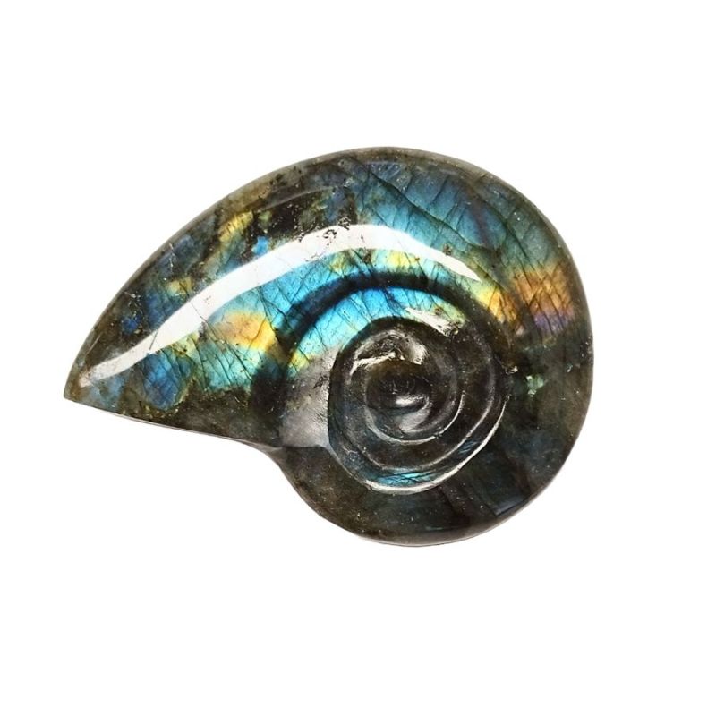 Ammonite Tallado Labradorita Grande