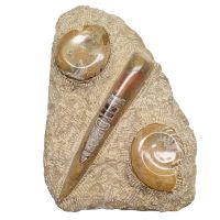 Ammonite/Orthocera Placa (40 cm)