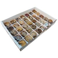 Lote Ammonites Pulidos (Parejas) Lote 35un.