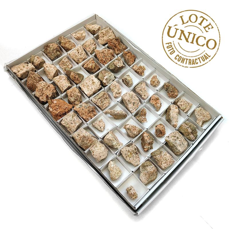 Apatito (Murcia, España). Lote 54 Un.