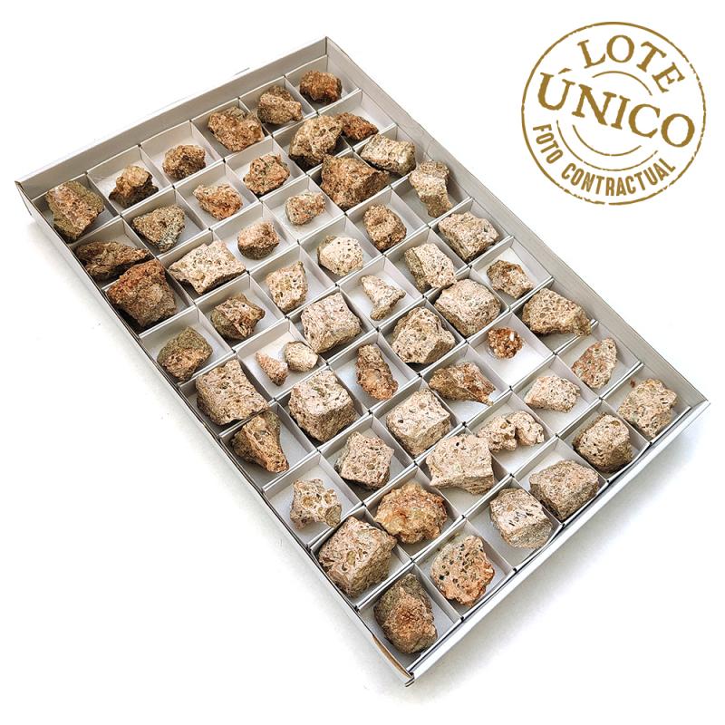 Apatito (Murcia, España). Lote 54 Un.