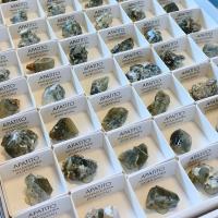 Apatite (Panasqueira, Portugal). Set 54 Un.