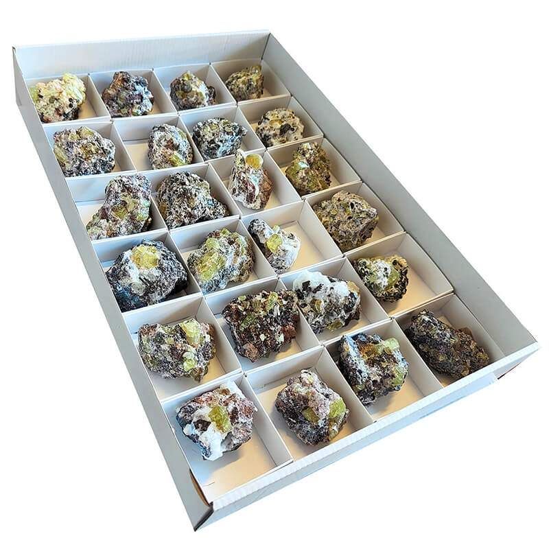 Apatite (Mexico). Box 24u.