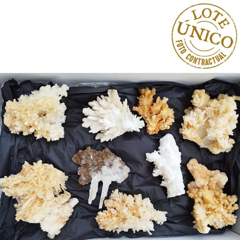 Aragonite. Set 9 Un.