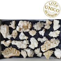 Aragonite. Set 22 Un.